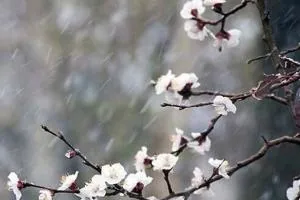 هواشناسی