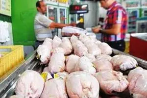 قیمت مرغ گرم
