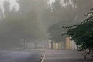 وزش باد شدید