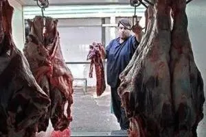 گوشت قرمز
