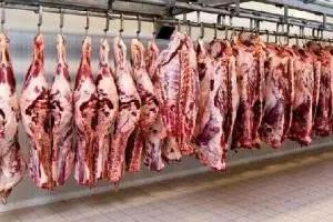 قیمت گوشت