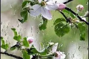 هواشناسی