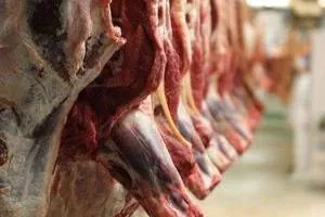 قیمت گوشت قرمز