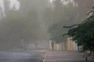 هواشناسی