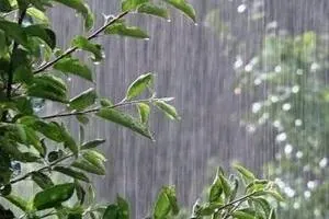 هواشناسی