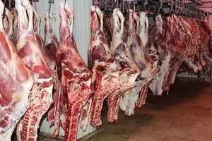 گوشت قرمز