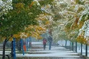 بارش برف و باران