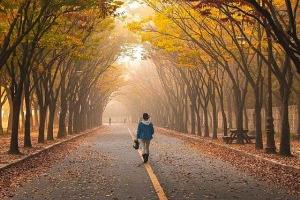 کاهش وزن با پیاده روی