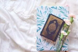 خواص سوره مجادله