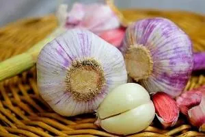 لاغری با سیر