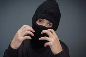 دزد احمق
