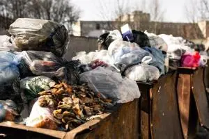 نگهداری زباله