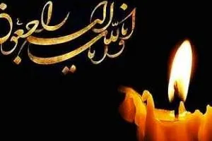 امیر ملکی پور