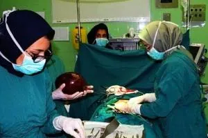 توده بزرگ در شکم