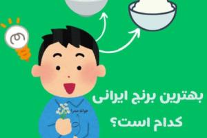 بهترین برنج ایرانی چیه؟! |راهنمای جامع و عالی برای خرید برنج