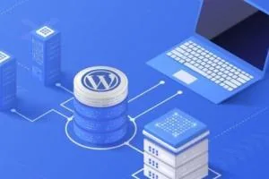 قیمت هاست وردپرس چقدر است؟