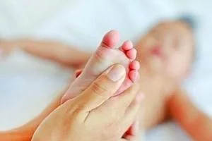 بیضه ها