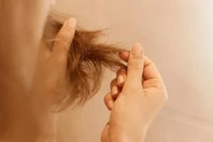 موخوره
