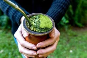 چای یربامیت