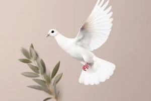 نماد صلح