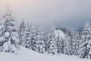 زمستان