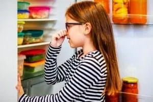 رفع بوی بد یخچال فریزر