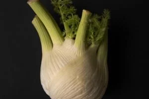 لاغری سریع با رازیانه 