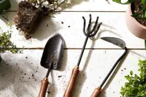 خرید ابزار باغبانی
