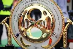 جام حذفی