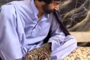 مرد درختی