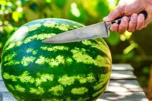 هندوانه نیترات دار