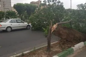طوفان در تهران