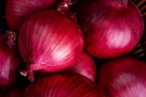 عفونت سالمونلا در پیاز قرمز