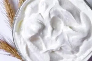 طرز تهیه ماست 