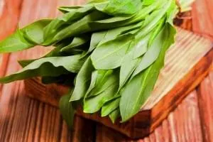 گیاه والک