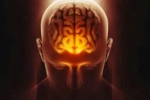 مواد مخدر مغز
