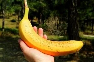 چای موز