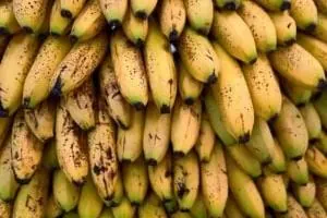 موز نارس