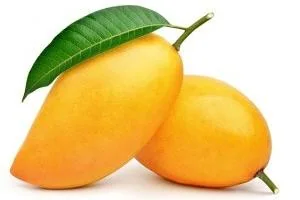 خواص برگ انبه