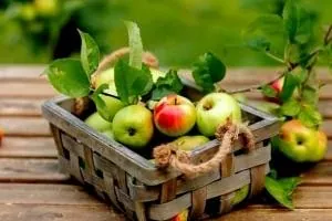 تازه نگه داشتن سیب