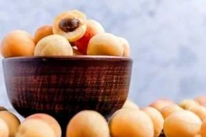 مغز هسته زردآلو