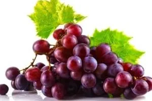 انگور قرمز