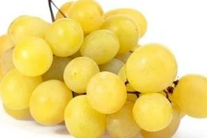 انگور در بارداری