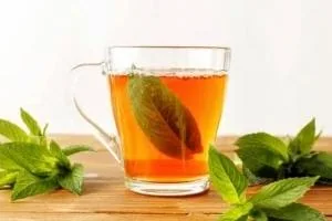 جوشانده نعناع