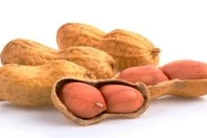 بادام زمینی