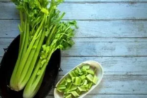 فواید کرفس
