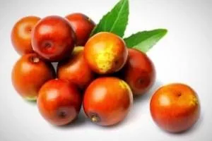 عناب