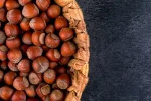 فندق در بارداری