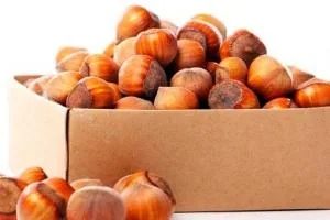 فندق برای پوست