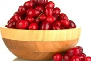 زغال اخته